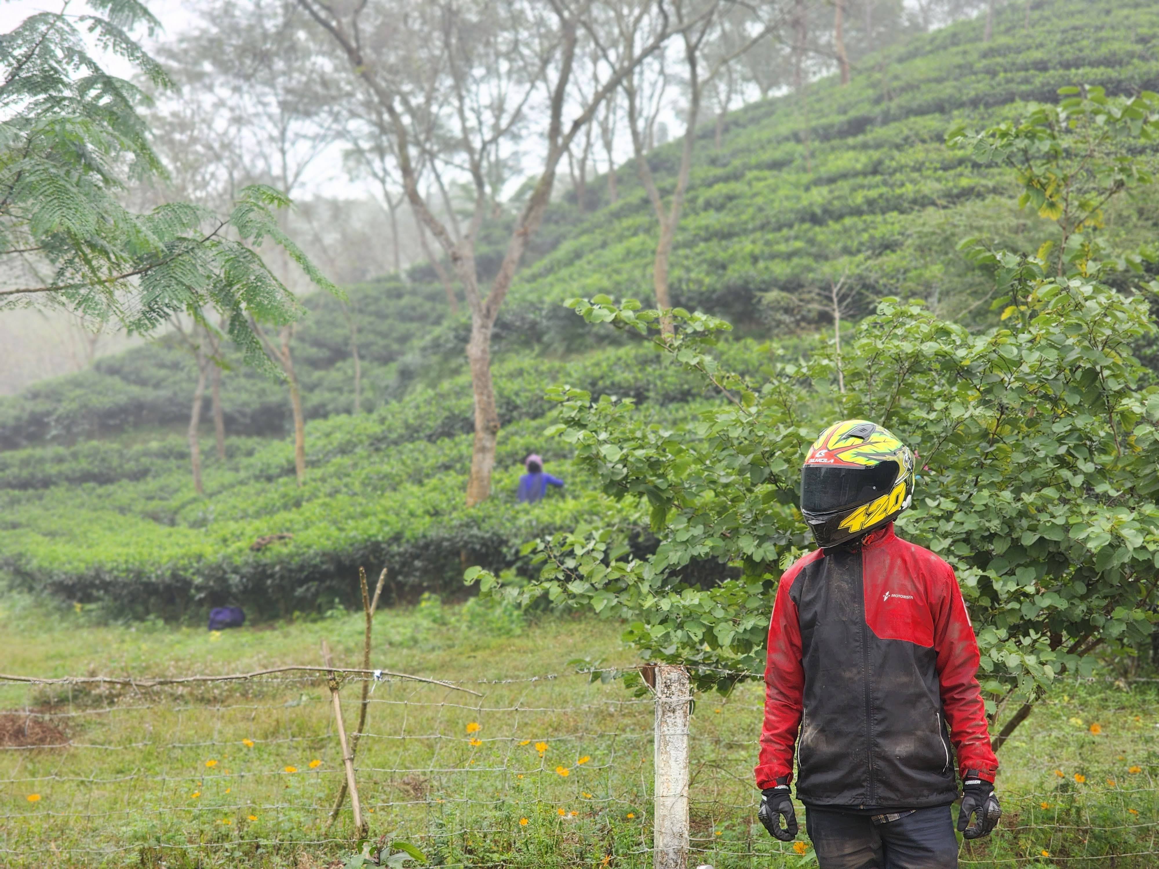 Sreemangal